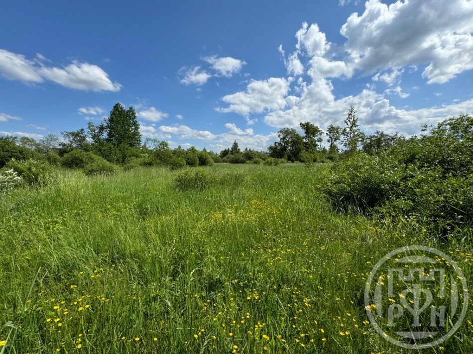 Продажа земли Отрадное г., Шишова ул. ,  д. 3