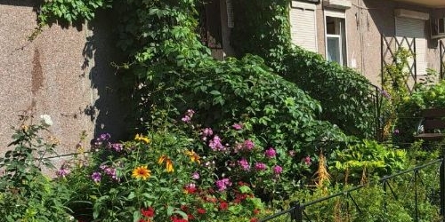 1-комн квартира Ленинский проспект, 79к3