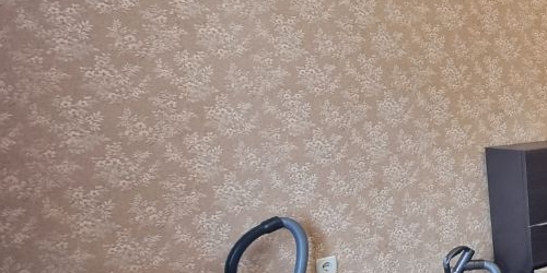 2-комн квартира улица Вилиса Лациса, 39