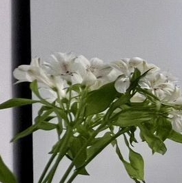 Продажа 3-комн квартиры на вторичном рынке улица Маршала Казакова, 32 Продажа 3-комн квартиры на вторичном рынке улица Маршала Казакова, 32