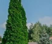 Продать Дачи, коттеджи, загородные дома Всеволожск, Андреевская улица, 17   
