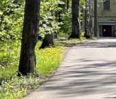 Продать Земельные участки, земля пос. Комарово, улица Цветочная   