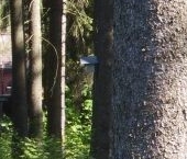 Продать Земельные участки, земля Всеволожск, Каменерская улица   