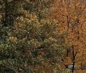 Продать Квартиры вторичка улица Бориса Галушкина, 23   