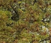 Продать Квартиры вторичка Коломенская улица, 9   