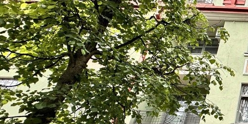 3-комн квартира Большая Озерная улица, 70