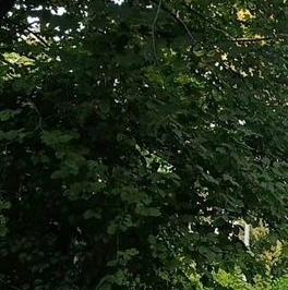 Продажа 3-комн квартиры на вторичном рынке Королев, улица Ленина, 5