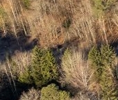 Продать Земельные участки, земля Токсово городской поселок, переулок Кавголовский   