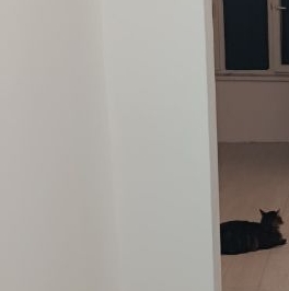 Аренда 1-комн квартиры на вторичном рынке Город-событие мкр, с. Лайково, 64