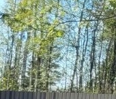 Продать Дачи, коттеджи, загородные дома Агалатово ДНП, 40   