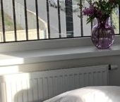 Сдать в аренду Квартиры вторичка Пулковское шоссе, 95к3   