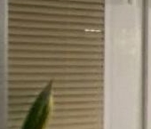 Продать Квартиры вторичка улица Героев Панфиловцев, 1К5   