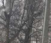 Продать Квартиры вторичка Серпухов, улица Ворошилова, 165   