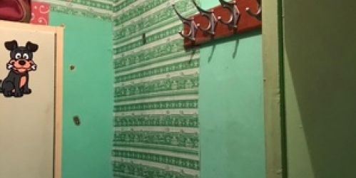 Комната 4-й Войковский проезд,  д. 9