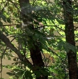 Аренда 2-комн квартиры на вторичном рынке Красноградский переулок, 1