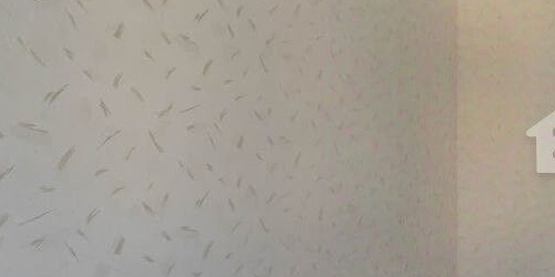 1-комн квартира шоссе Революции, 3к2