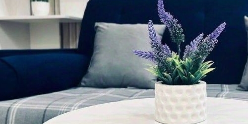 2-комн квартира Елизаветинский переулок, 6С1