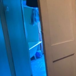 Продажа комнаты Павловск, улица Обороны, 6