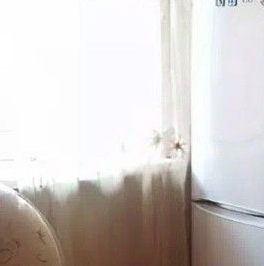 Аренда 1-комн квартиры на вторичном рынке д. Новое Девяткино, улица Арсенальная, 1