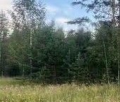 Продать Земельные участки, земля д. Мышкино, улица Цветочная   