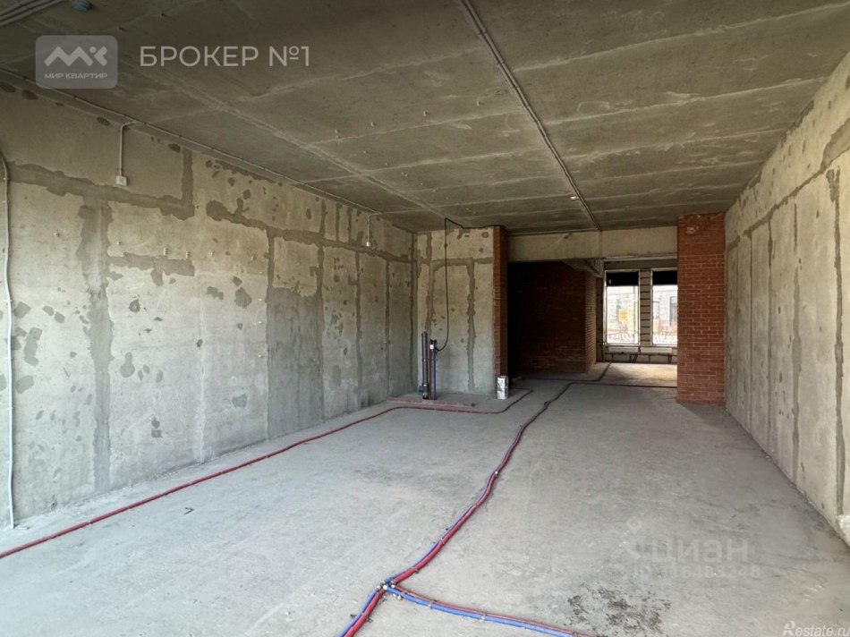 Аренда ПСН Заневский пр-кт,  д. 65