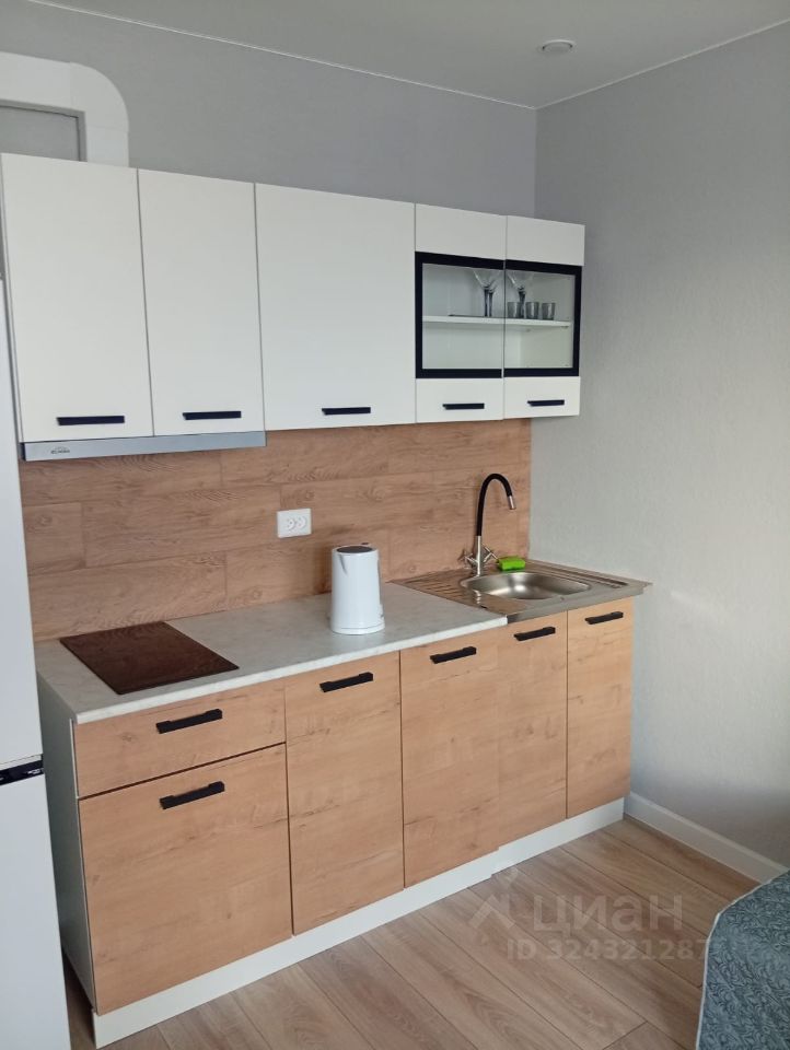 Аренда студии Новоселье городской поселок, улица Петропавловская, 13