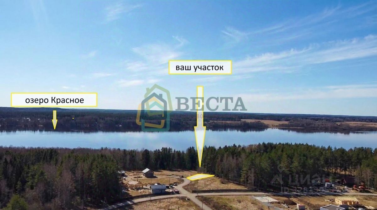 Продажа земли Константиновский кп, д. Четверяково, улица Брусничная, 1