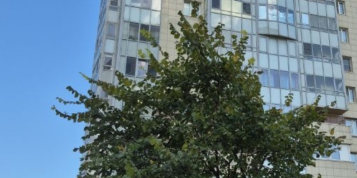 Студия Октябрьская набережная, 126к3