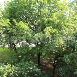 Продажа 3-комн квартиры на вторичном рынке Новопесчаная улица,  д. 8 к1