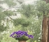 Продать Дачи, коттеджи, загородные дома Эколайф на заливе кп, пос. Зеленая Роща, проезд 13-й Луговой  7 