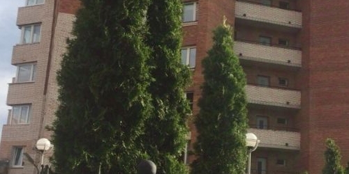 1-комн квартира Сестрорецк, Дубковское шоссе, 11