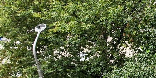 1-комн квартира переулок Посланников, 11/14