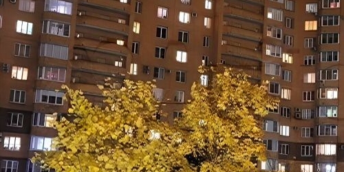 1-комн квартира Бухарестская улица, 118к3