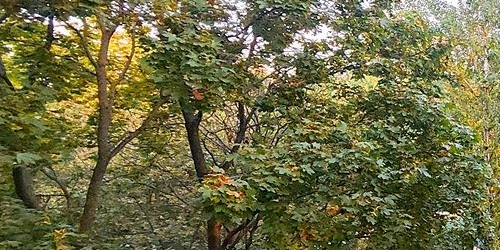 3-комн квартира улица Фомичевой, 16К5