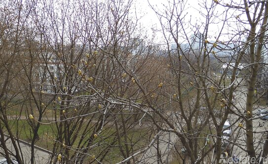 Продажа 2-комн квартиры на вторичном рынке Белозерская улица,  д. 11А