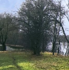 Продажа 1-комн квартиры на вторичном рынке Павлово пгт, Невская улица, 9