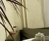 Продать Квартиры вторичка Пулковское шоссе, 11К2   