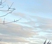 Продать Квартиры вторичка Колтуши, улица Верхняя, 30   