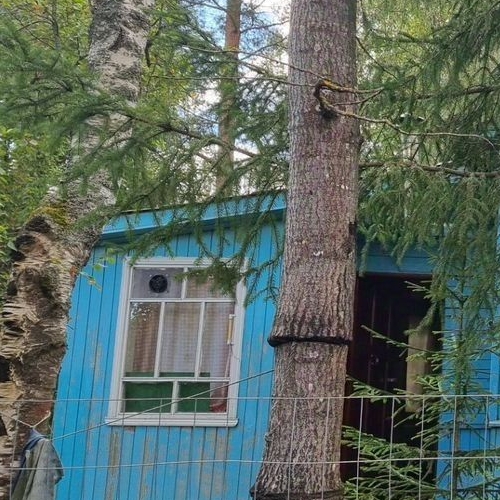 Коттедж/дом Березка СНТ, улица Новая