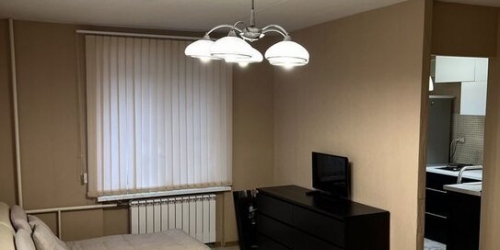 1-комн квартира ул Вольная,  д. 1