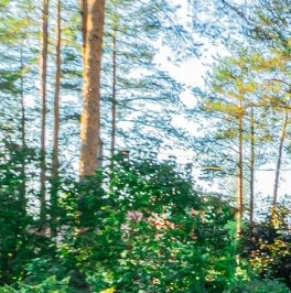 Продажа дома Всеволожск, Колтушское шоссе, 291