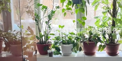 2-комн квартира Партизанская улица, 35К2