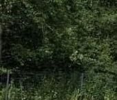 Продать Дачи, коттеджи, загородные дома Сказка СНТ  161 