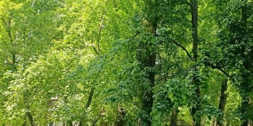 4-комн квартира Россошанская улица, 13К3