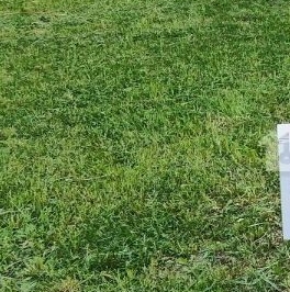 Продажа дома пос. Александровская, улица Возрождения, 19А Продажа дома пос. Александровская, улица Возрождения, 19А