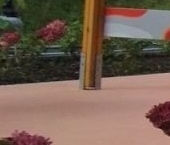 Продать Квартиры вторичка улица Струве, 14к1   