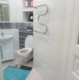 Аренда 1-комн квартиры на вторичном рынке Улица Яблочкова,  д. 49