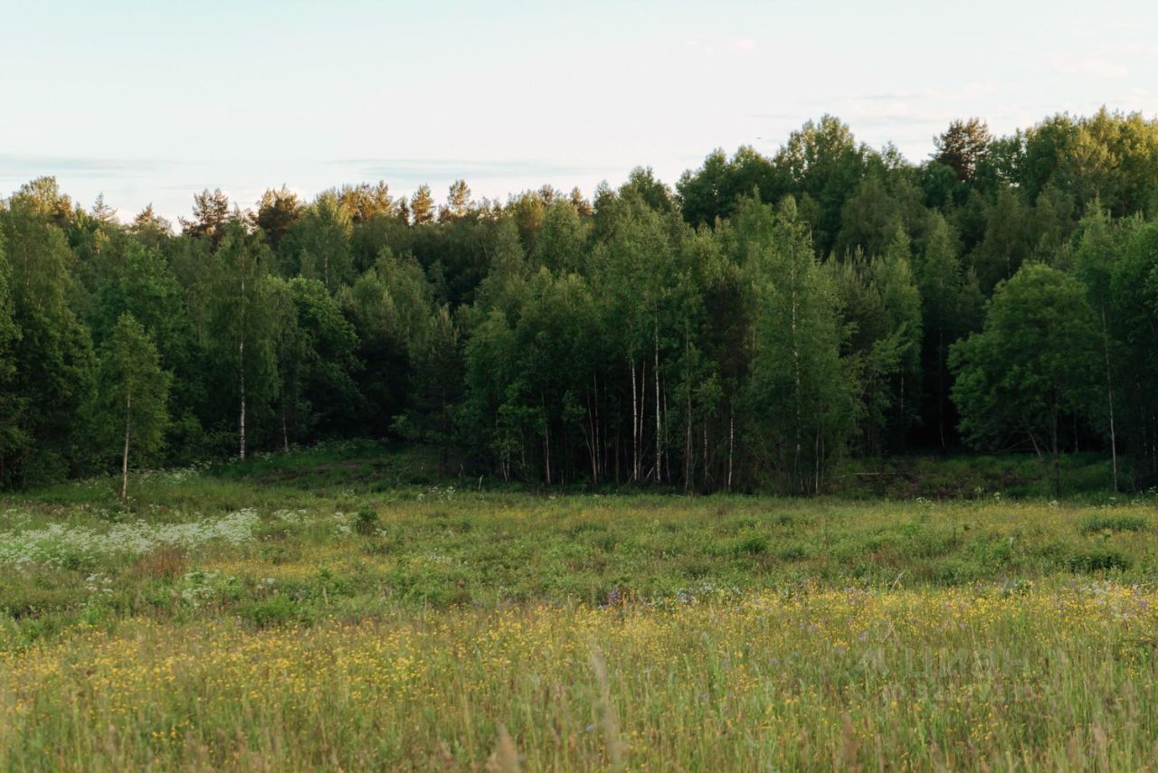 Продажа земли Негород Токсово кп,  д. 63