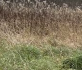 Продать Земельные участки, земля Семейные ценности кп, 31   