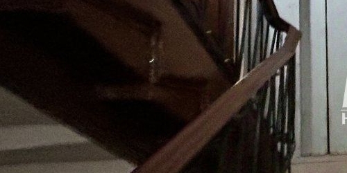 3-комн квартира Лермонтовский проспект, 50